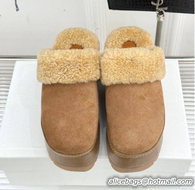 Trendy Design Celine Dana Wedge Platform Mules in Suede and Shearling Beige 2025 CE082615