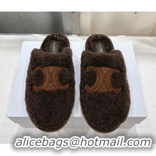 Perfect Celine Georgia Flat Slides Sandal in Shearling Brown 2025 CE082616