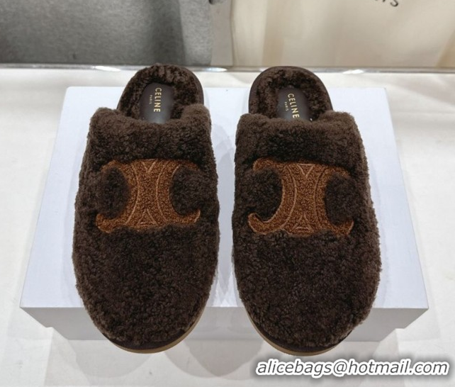 Perfect Celine Georgia Flat Slides Sandal in Shearling Brown 2025 CE082616