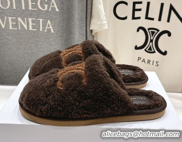 Perfect Celine Georgia Flat Slides Sandal in Shearling Brown 2025 CE082616