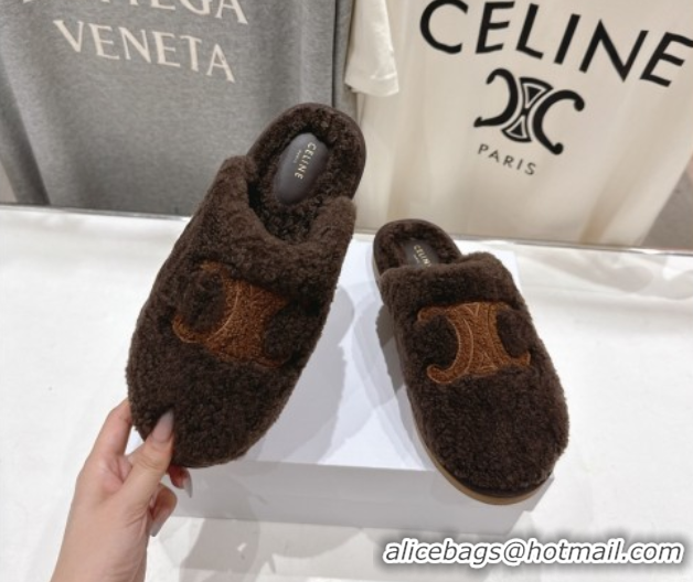 Perfect Celine Georgia Flat Slides Sandal in Shearling Brown 2025 CE082616