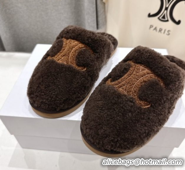 Perfect Celine Georgia Flat Slides Sandal in Shearling Brown 2025 CE082616