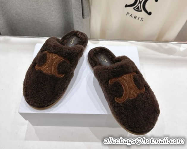 Perfect Celine Georgia Flat Slides Sandal in Shearling Brown 2025 CE082616