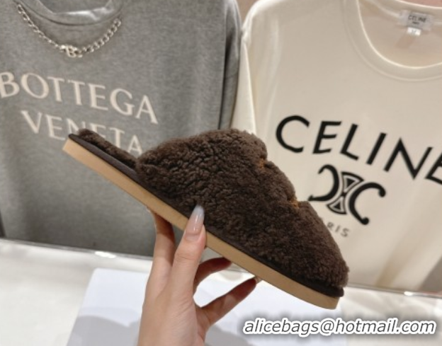 Perfect Celine Georgia Flat Slides Sandal in Shearling Brown 2025 CE082616