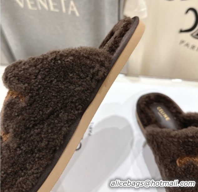 Perfect Celine Georgia Flat Slides Sandal in Shearling Brown 2025 CE082616