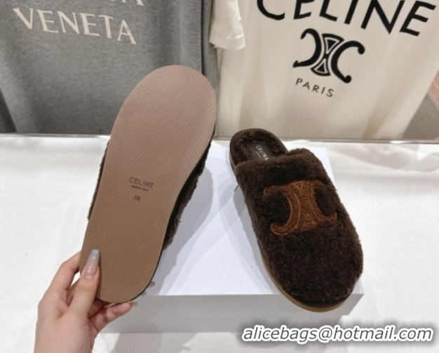 Perfect Celine Georgia Flat Slides Sandal in Shearling Brown 2025 CE082616