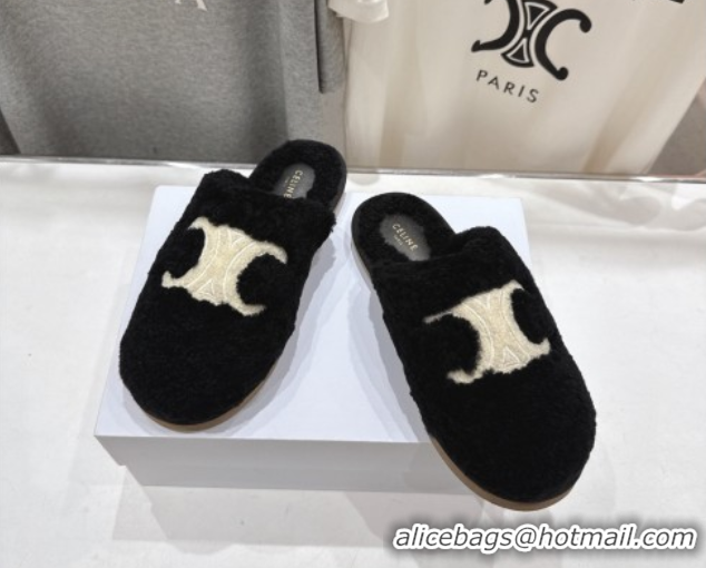 Discount Celine Georgia Flat Slides Sandal in Shearling Black 2025 CE082616