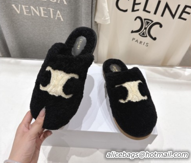 Discount Celine Georgia Flat Slides Sandal in Shearling Black 2025 CE082616