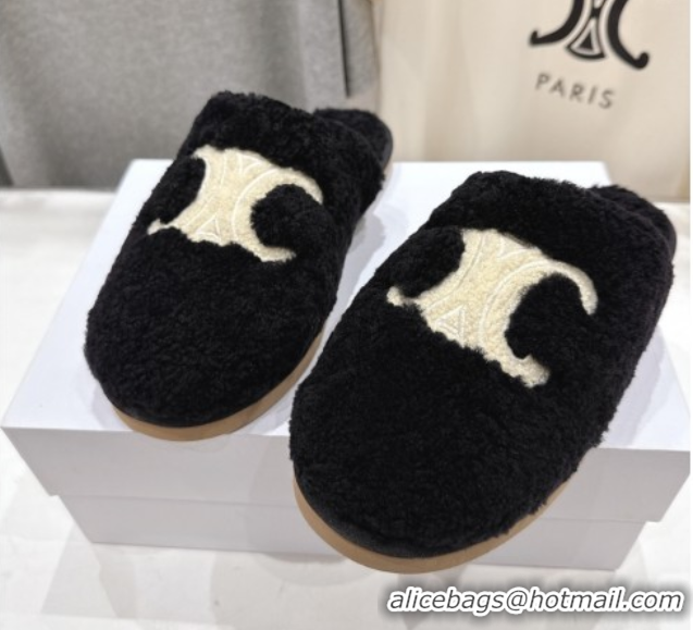 Discount Celine Georgia Flat Slides Sandal in Shearling Black 2025 CE082616