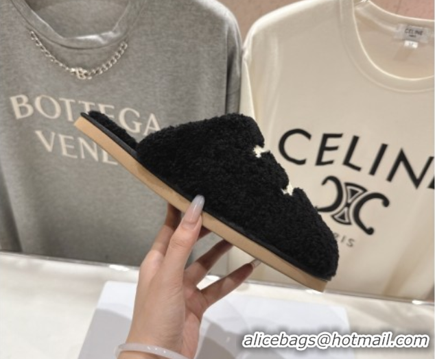 Discount Celine Georgia Flat Slides Sandal in Shearling Black 2025 CE082616