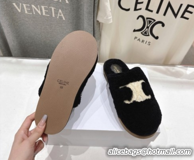 Discount Celine Georgia Flat Slides Sandal in Shearling Black 2025 CE082616