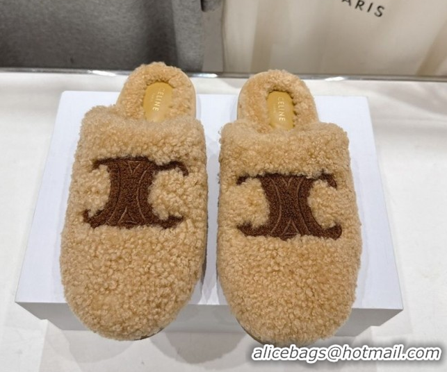 Sumptuous Celine Georgia Flat Slides Sandal in Shearling Beige 2025 CE082616