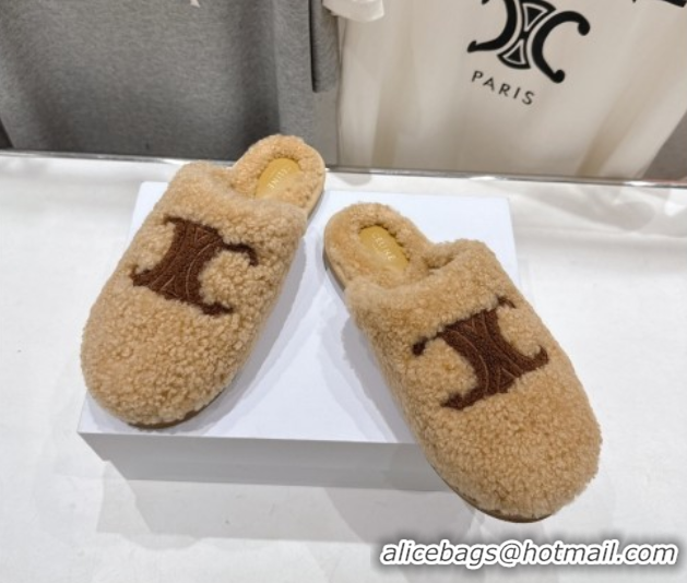 Sumptuous Celine Georgia Flat Slides Sandal in Shearling Beige 2025 CE082616
