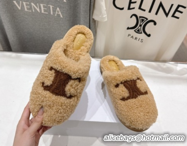 Sumptuous Celine Georgia Flat Slides Sandal in Shearling Beige 2025 CE082616