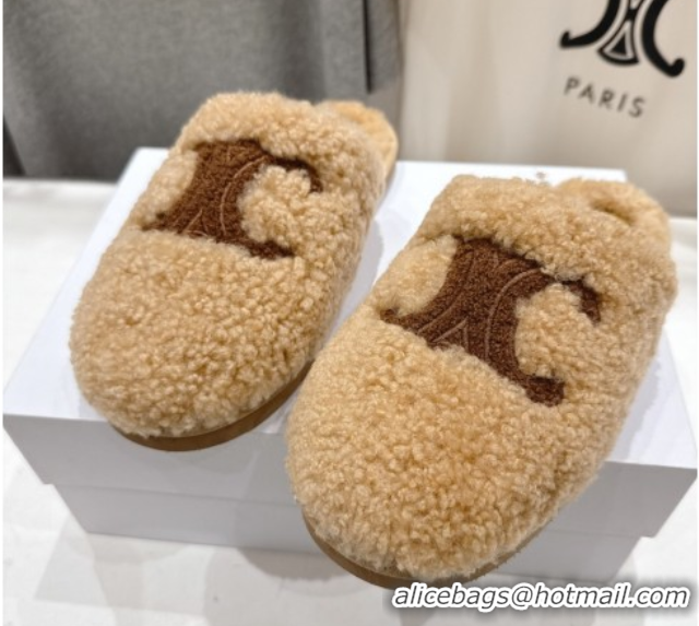 Sumptuous Celine Georgia Flat Slides Sandal in Shearling Beige 2025 CE082616