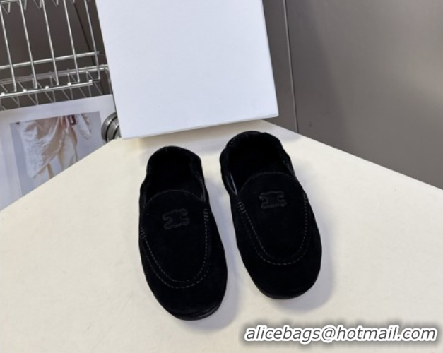 Buy Luxury Celine Adam Flat Loafers in Suede Black 2025 CE082617