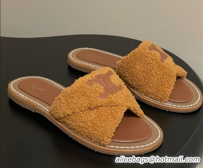 Classic Celine Lympia Twisted Flat Slides Sandal in Sponge Fabric Brown 2025 CE082619