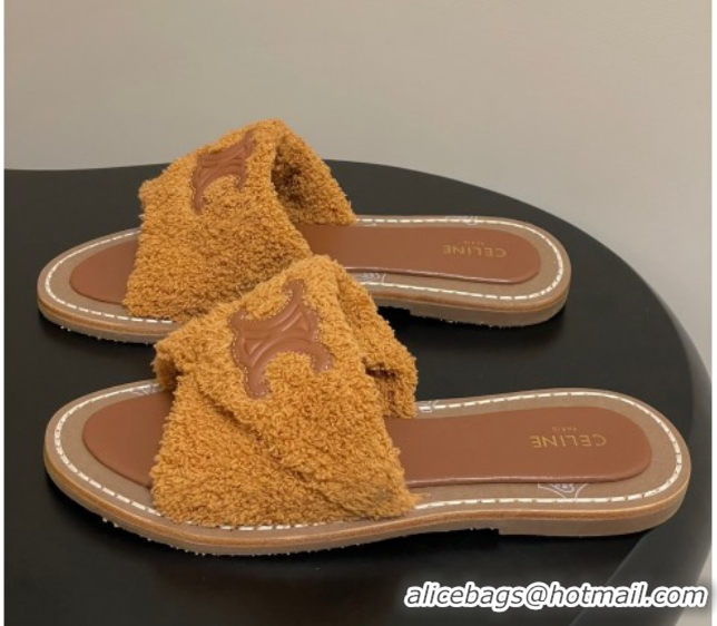 Classic Celine Lympia Twisted Flat Slides Sandal in Sponge Fabric Brown 2025 CE082619