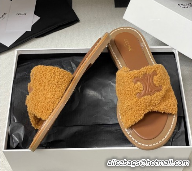 Classic Celine Lympia Twisted Flat Slides Sandal in Sponge Fabric Brown 2025 CE082619