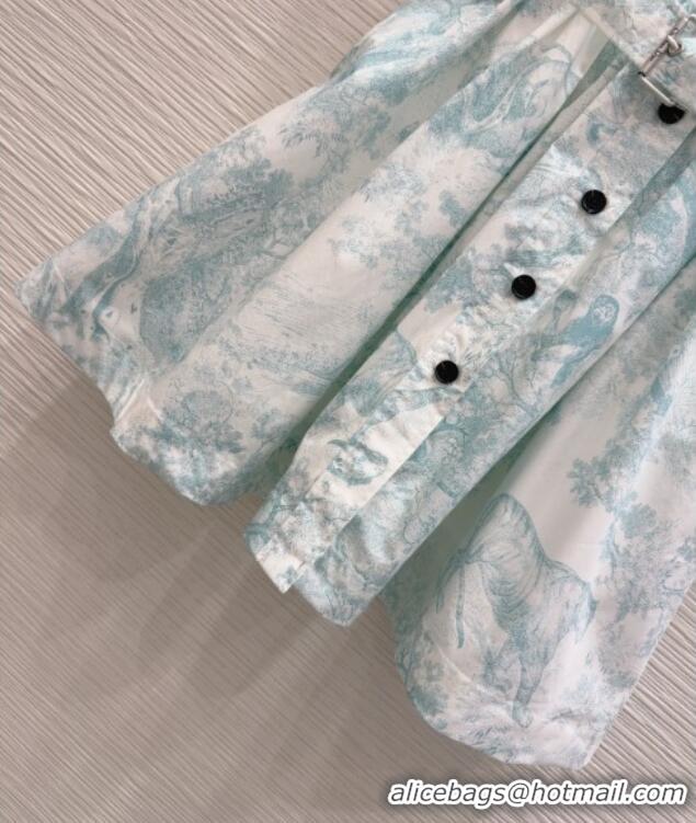 Original Cheap Dior Printed Cotton Dress DR061203 Green 2025
