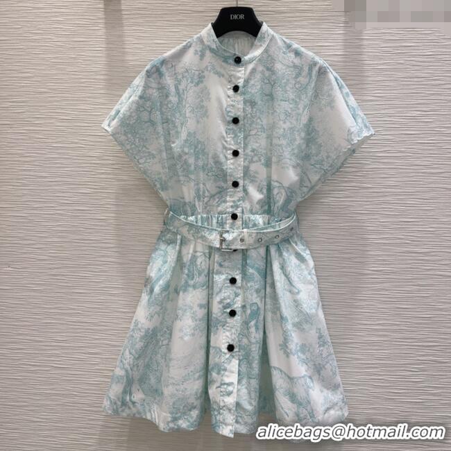 Original Cheap Dior Printed Cotton Dress DR061203 Green 2025