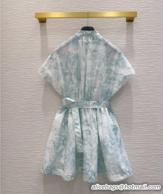 Original Cheap Dior Printed Cotton Dress DR061203 Green 2025