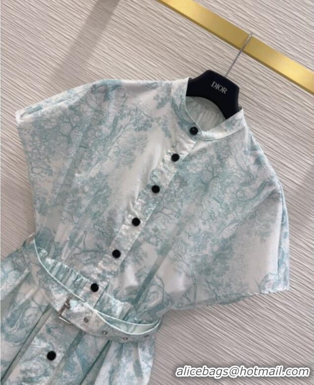 Original Cheap Dior Printed Cotton Dress DR061203 Green 2025
