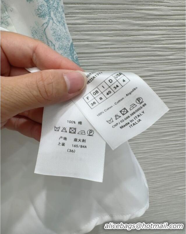 Original Cheap Dior Printed Cotton Dress DR061203 Green 2025