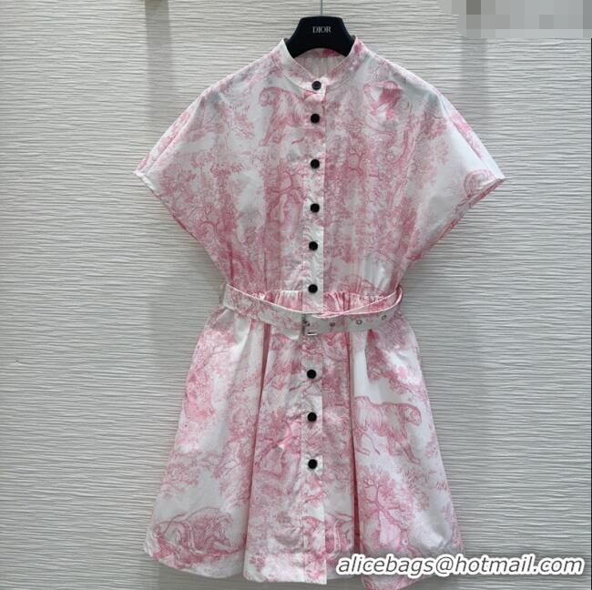 Best Quality Dior Printed Cotton Dress DR061203 Pink 2025