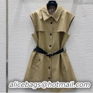 Luxury Cheap Dior Dress DR061207 Khaki 2025