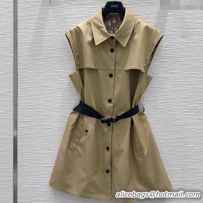 Luxury Cheap Dior Dress DR061207 Khaki 2025