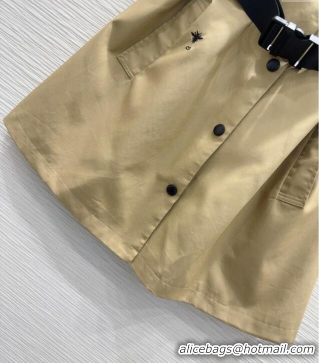 Luxury Cheap Dior Dress DR061207 Khaki 2025