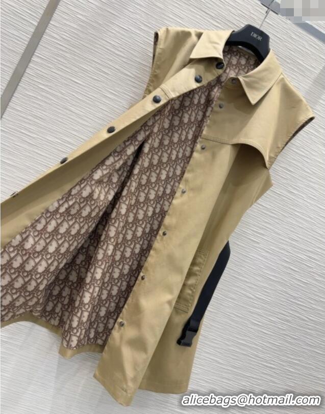 Luxury Cheap Dior Dress DR061207 Khaki 2025