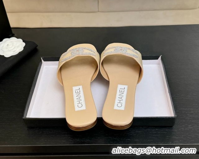 Popular Style Chanel Calfskin Leather Flat Slides Sandal Beige 2025 CH090102