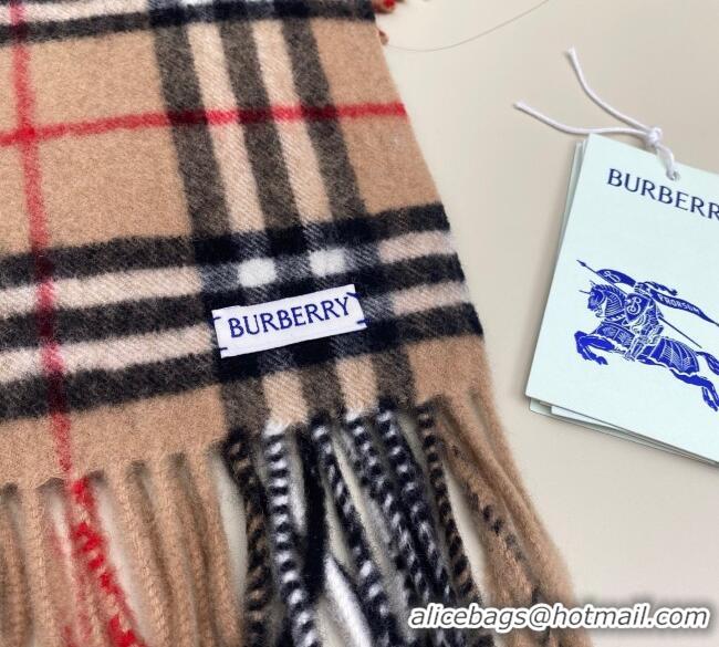Unique Discount Burberry Fringed Cashmere Long Scarf 30x155cm BR091016 Camel 2025