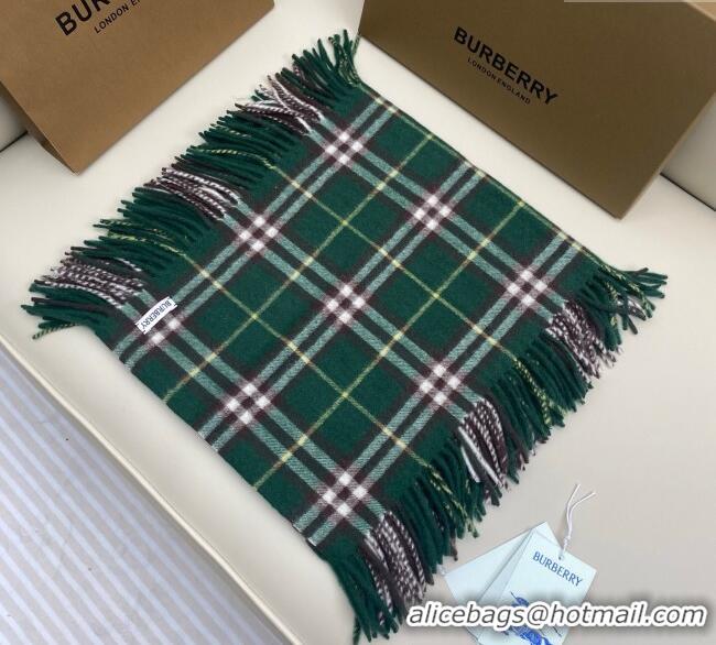 Buy Cheapest Burberry Fringed Cashmere Long Scarf 30x155 BR091016 Green 2025