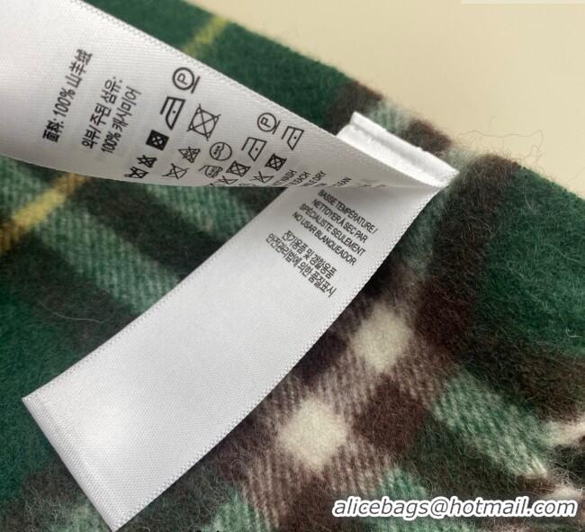 Buy Cheapest Burberry Fringed Cashmere Long Scarf 30x155 BR091016 Green 2025