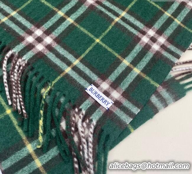 Buy Cheapest Burberry Fringed Cashmere Long Scarf 30x155 BR091016 Green 2025