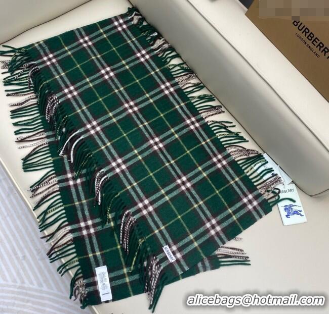 Buy Cheapest Burberry Fringed Cashmere Long Scarf 30x155 BR091016 Green 2025
