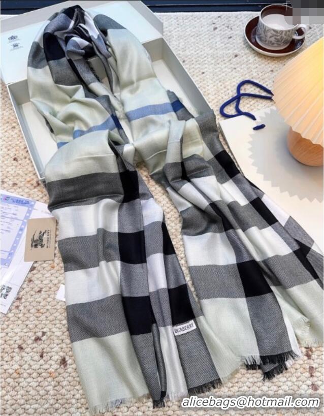 Unique Grade Burberry Cashmere Long Scarf BR091017 Grey 2025