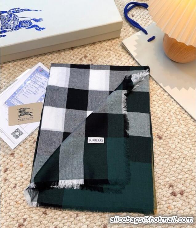 Pretty Style Burberry Cashmere Long Scarf BR091017 Dark Green 2025