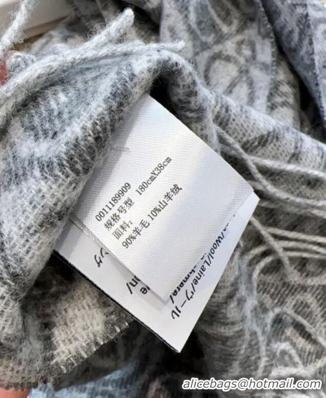 Grade Design Loewe Cashmere Wool Long Scarf LW091020 Grey 2025