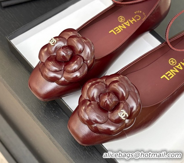 Stylish Chanel Shiny Calfskin Ballet flats with Ankle Strap with Camellia Burgundy 2025 G46520