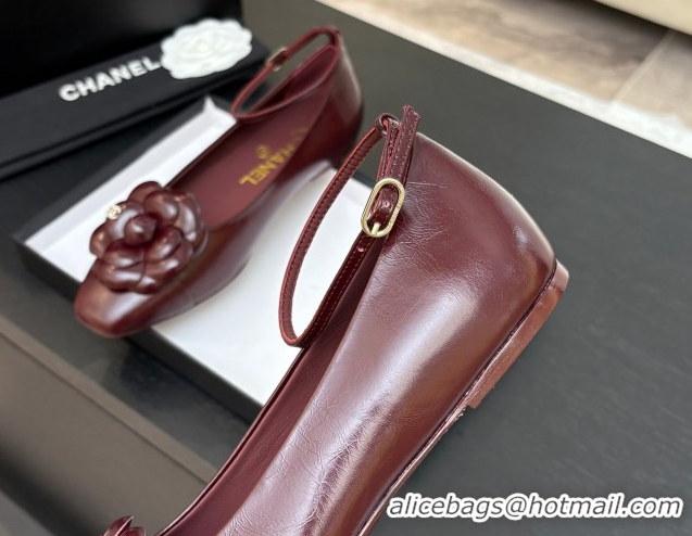 Stylish Chanel Shiny Calfskin Ballet flats with Ankle Strap with Camellia Burgundy 2025 G46520
