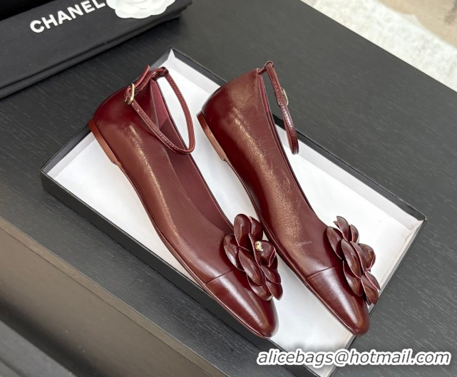 Stylish Chanel Shiny Calfskin Ballet flats with Ankle Strap with Camellia Burgundy 2025 G46520