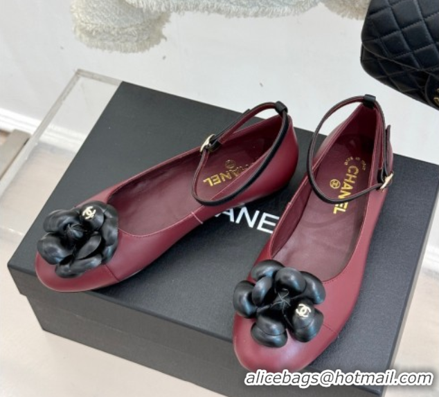 Trendy Design Chanel Lambskin Ballet flats with Ankle Strap and Camellia Burgundy 2025 G46520