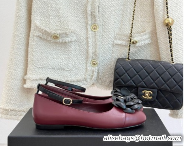 Trendy Design Chanel Lambskin Ballet flats with Ankle Strap and Camellia Burgundy 2025 G46520