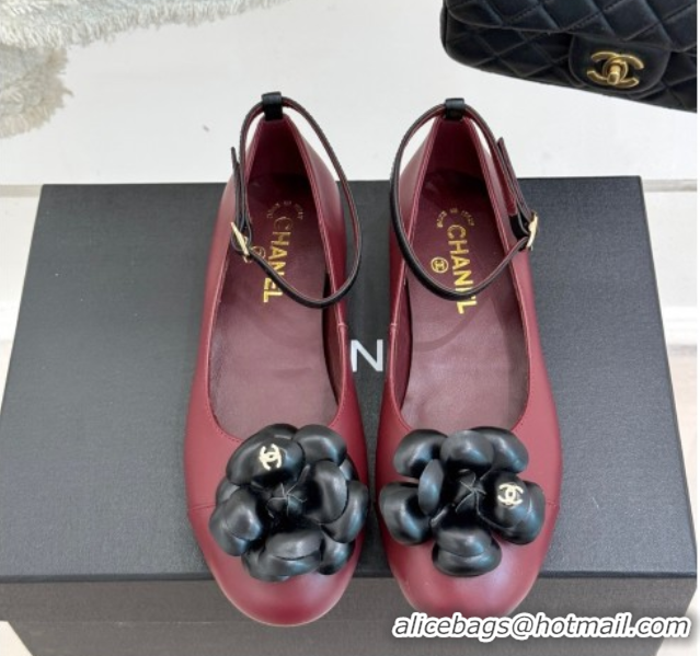 Trendy Design Chanel Lambskin Ballet flats with Ankle Strap and Camellia Burgundy 2025 G46520