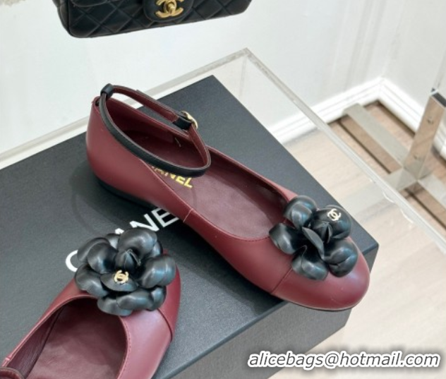 Trendy Design Chanel Lambskin Ballet flats with Ankle Strap and Camellia Burgundy 2025 G46520