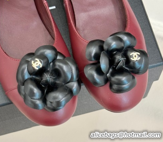 Trendy Design Chanel Lambskin Ballet flats with Ankle Strap and Camellia Burgundy 2025 G46520